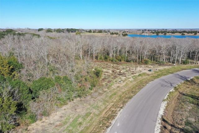 Listing photo 3 for LOT28 Winding Way Ln, Chappell Hill TX 77426