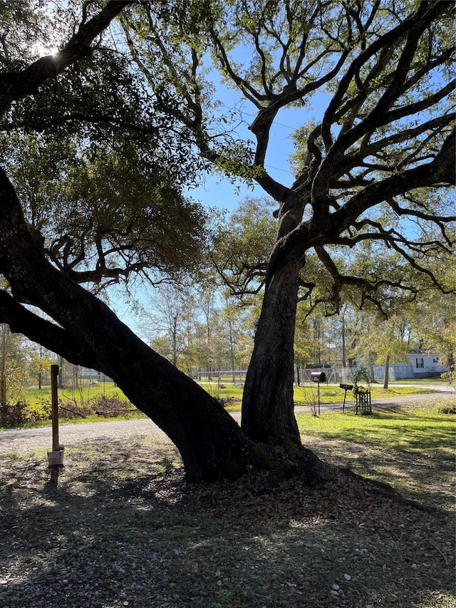 view of surrounding community