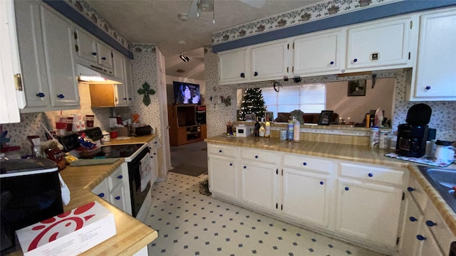 kitchen featuring white cabinets, ceiling fan, and range with electric stovetop