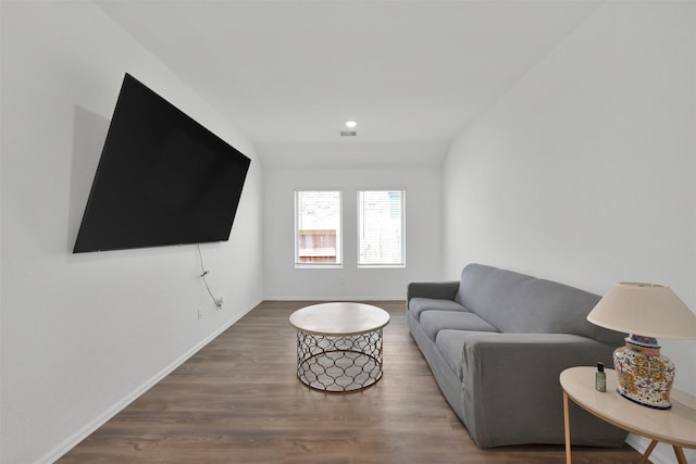 living room featuring wood-type flooring