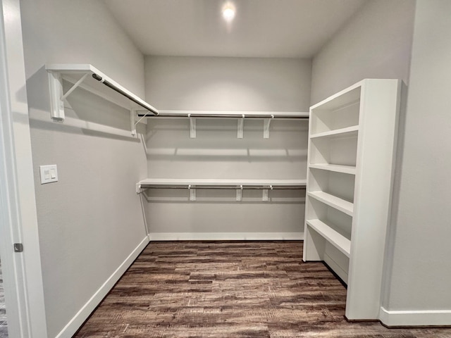 walk in closet with dark hardwood / wood-style flooring