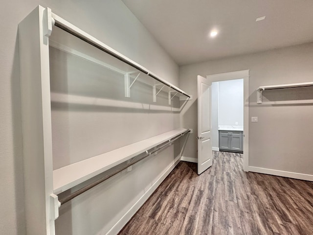 spacious closet with dark hardwood / wood-style flooring