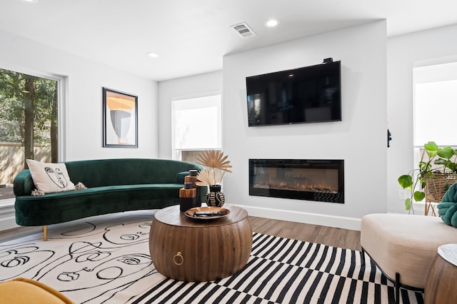 living room featuring hardwood / wood-style flooring