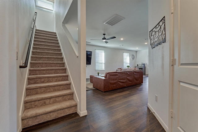 stairway featuring ceiling fan and hardwood / wood-style floors