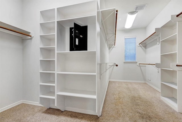 spacious closet with light colored carpet