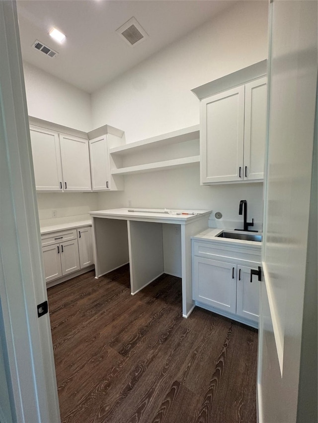 washroom featuring dark wood-type flooring and sink