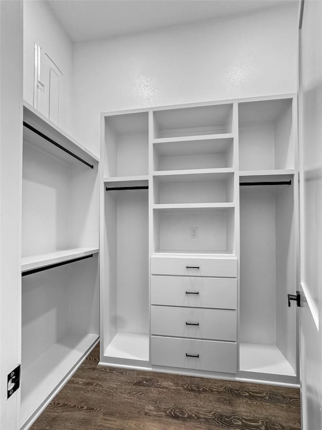 walk in closet featuring dark hardwood / wood-style floors