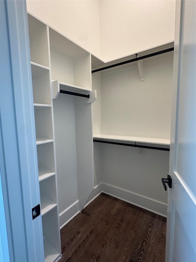 walk in closet featuring dark wood-type flooring