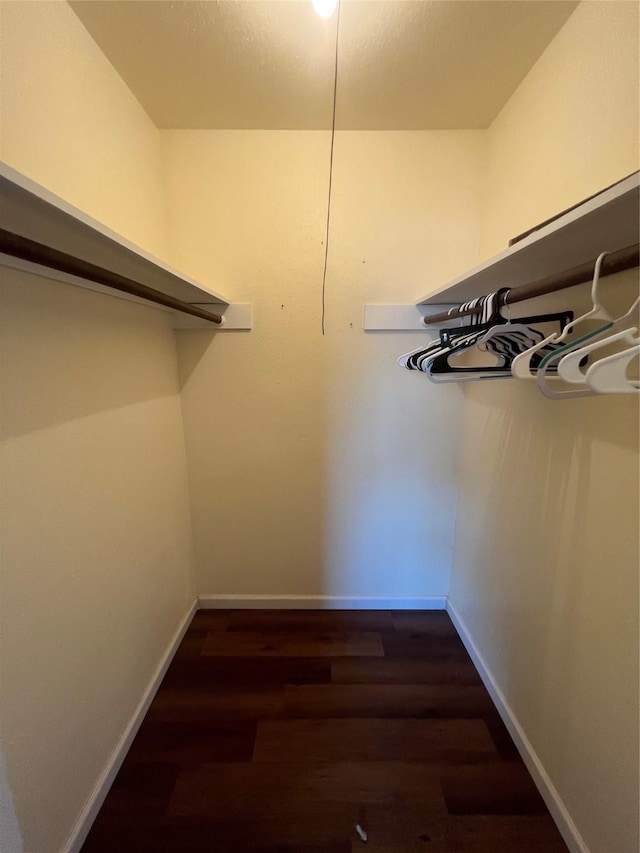 walk in closet with dark hardwood / wood-style flooring