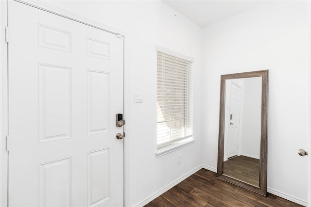 entryway featuring dark hardwood / wood-style flooring