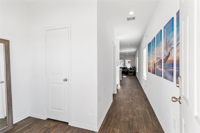 hall featuring dark hardwood / wood-style floors