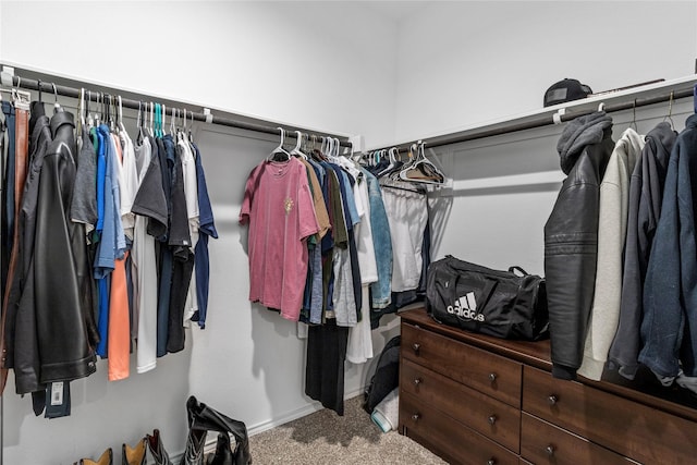 spacious closet with carpet flooring