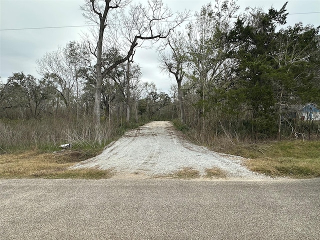 16532 County Road 729, Brazoria TX, 77422 land for sale