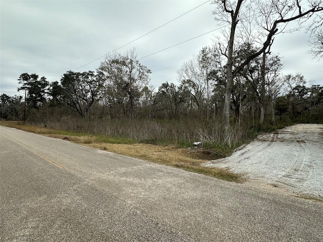 Listing photo 2 for 16532 County Road 729, Brazoria TX 77422