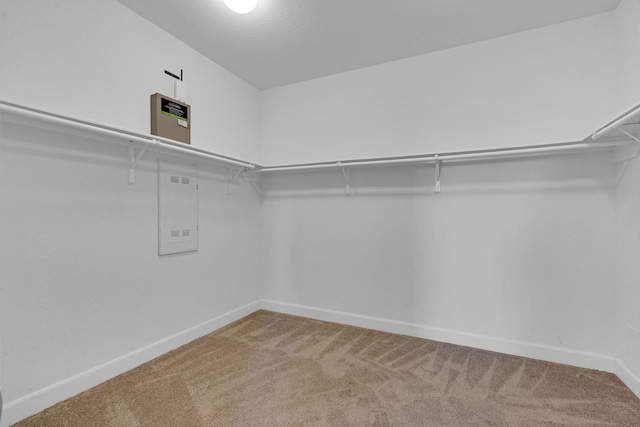 walk in closet featuring carpet flooring