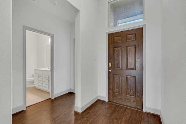 entryway featuring sink and dark wood-type flooring