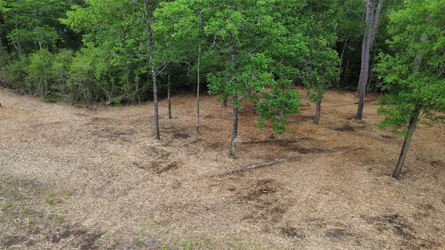 Listing photo 2 for TBD Fm-1486, Richards TX 77873