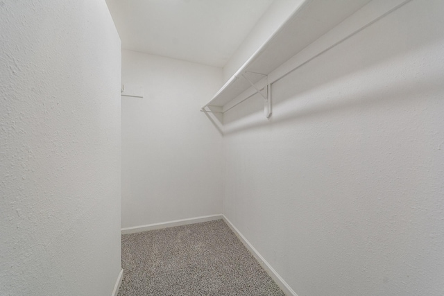 walk in closet featuring carpet flooring