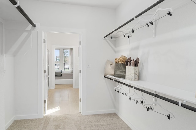 spacious closet with light carpet