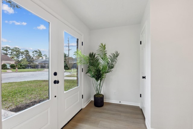 doorway with a healthy amount of sunlight, french doors, and wood-type flooring