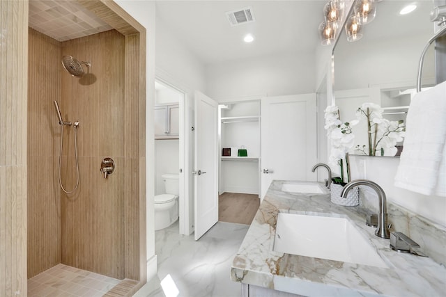 bathroom featuring vanity, toilet, and a shower