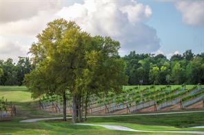 9760 Rockwell Dr, Willis, TX 77318 - view of community with view of golf course and a lawn