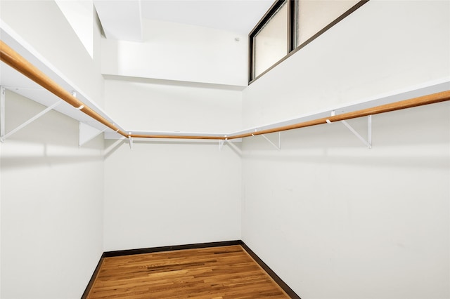 spacious closet with a towering ceiling and wood-type flooring