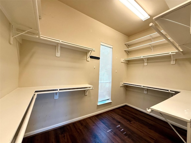 walk in closet featuring dark hardwood / wood-style floors