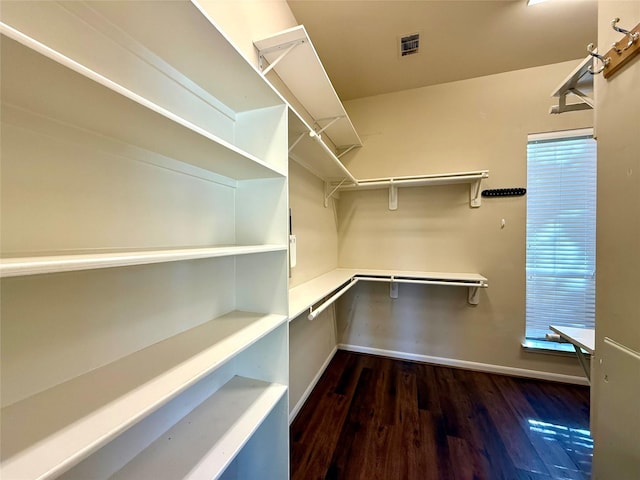 spacious closet with dark hardwood / wood-style flooring