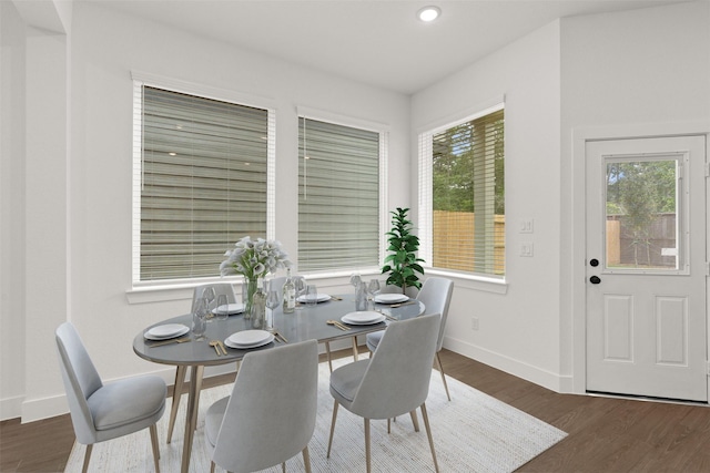 dining room with dark hardwood / wood-style floors