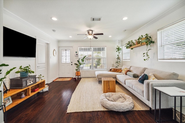 living room featuring ceiling fan, dark hardwood / wood-style floors, and crown molding