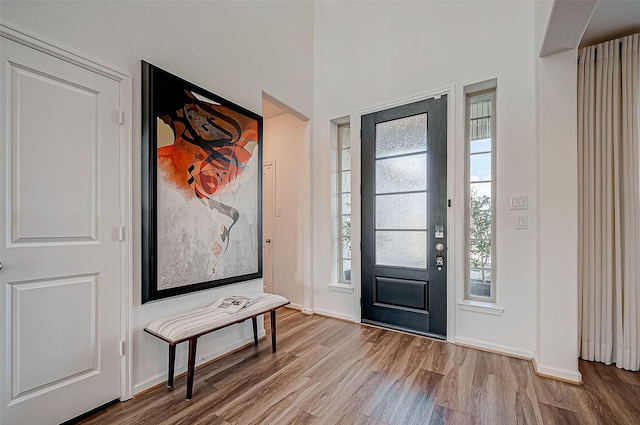 foyer entrance featuring light hardwood / wood-style flooring and a healthy amount of sunlight