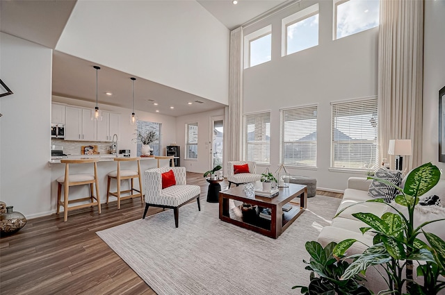 living room with a towering ceiling and hardwood / wood-style flooring