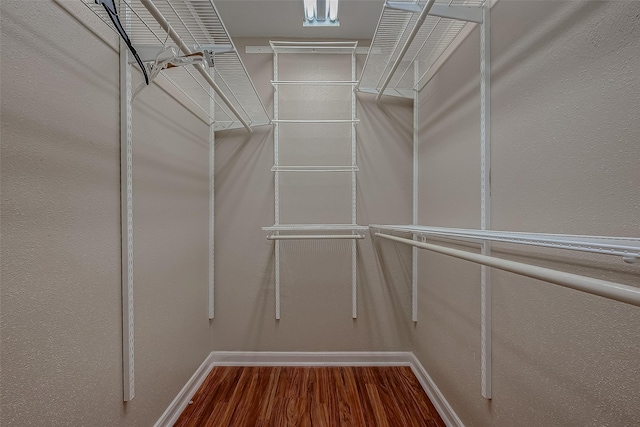 walk in closet with hardwood / wood-style flooring