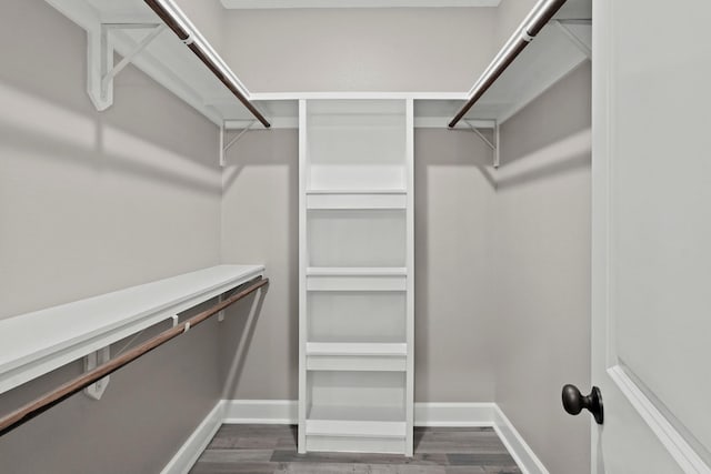 walk in closet with dark wood-type flooring