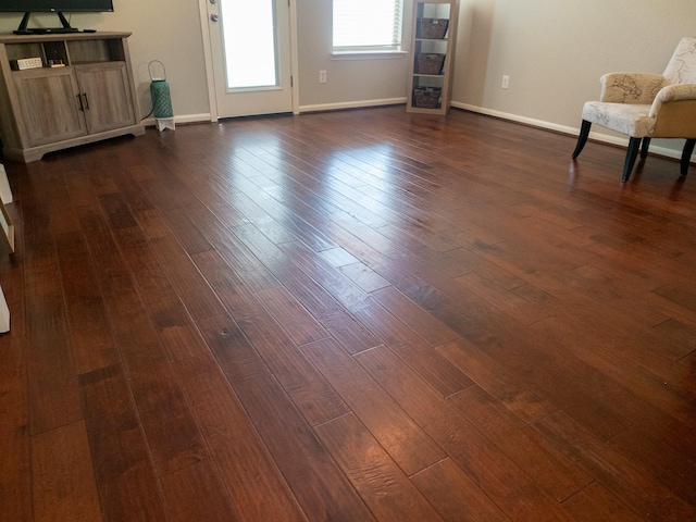 interior space with dark wood-type flooring