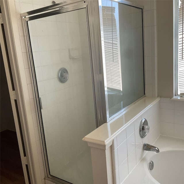 bathroom with separate shower and tub and a healthy amount of sunlight