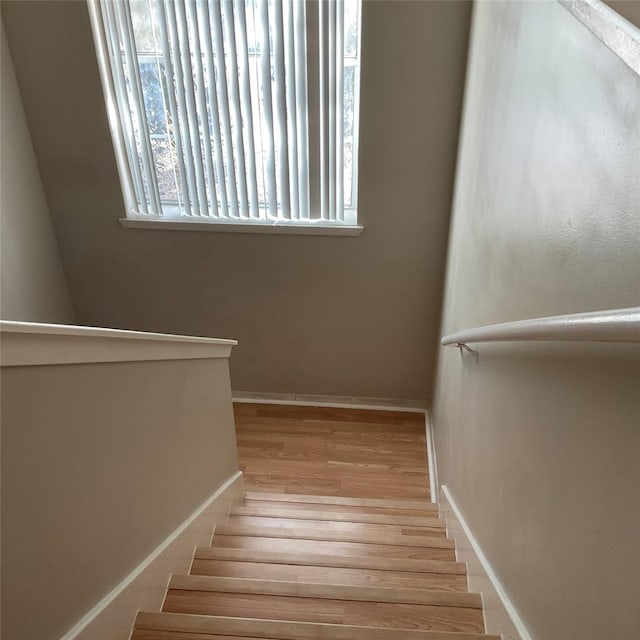 stairway featuring hardwood / wood-style flooring