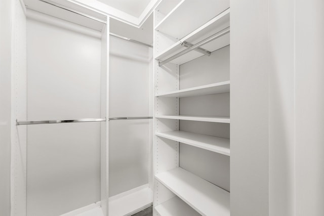 view of walk in closet