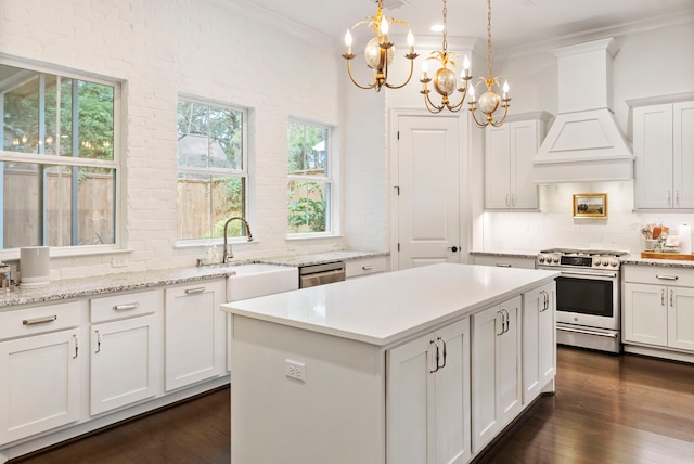 kitchen with backsplash, premium range hood, an inviting chandelier, sink, and appliances with stainless steel finishes