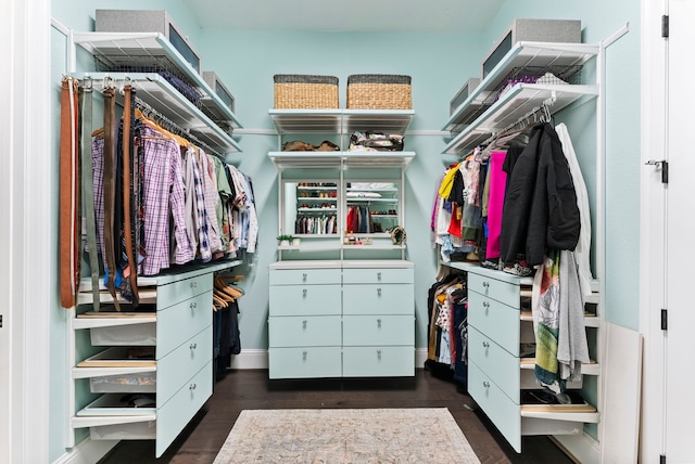 spacious closet featuring dark wood-type flooring