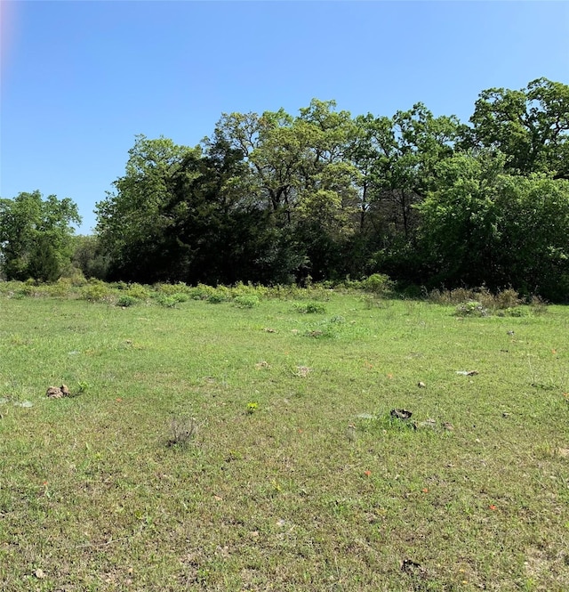 Listing photo 3 for 2231 Greens Creek Rd, Ledbetter TX 78946