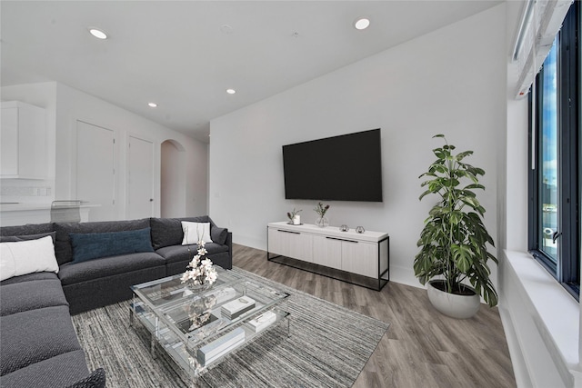 living room with hardwood / wood-style flooring