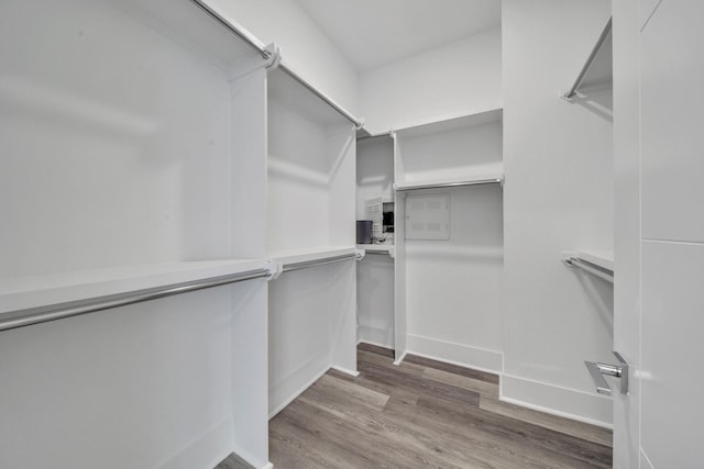 spacious closet featuring hardwood / wood-style flooring