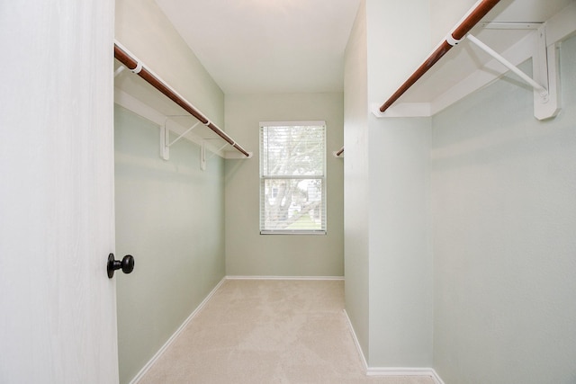 walk in closet featuring light carpet