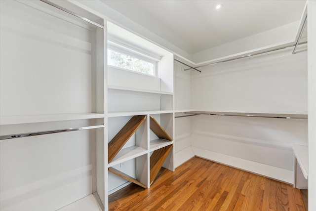 spacious closet featuring wood-type flooring