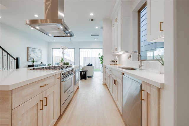 kitchen with light brown cabinetry, sink, exhaust hood, and appliances with stainless steel finishes