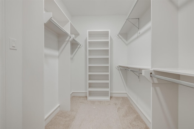 spacious closet with light colored carpet