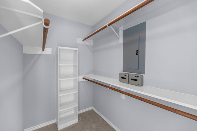 spacious closet with carpet flooring and electric panel