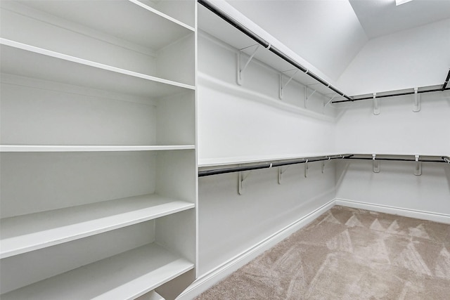 walk in closet with light colored carpet